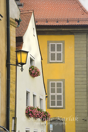 Geraniums and Lantern #173