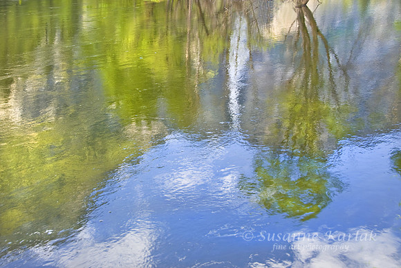 Reflection of Yosemite Falls #084
