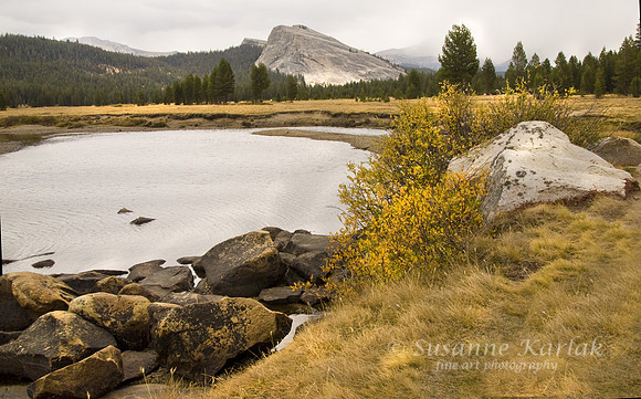 Tuolomme Meadows #215