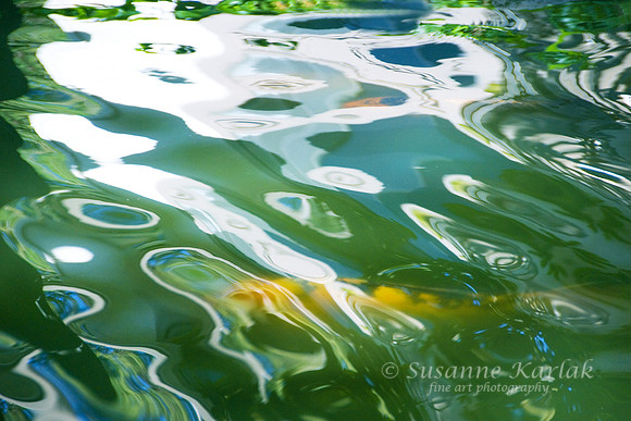 Goldfish in Pond #110