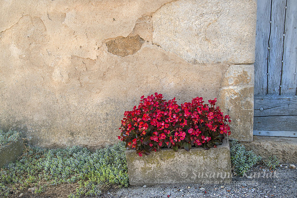 Grozon; Flower Box