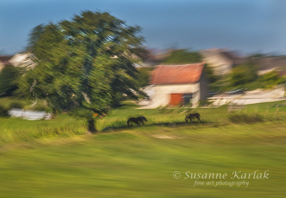 Painterly French Countryside