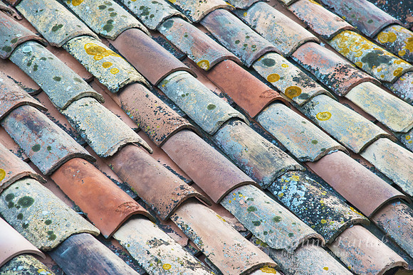 Arles: Weathered Tiles #1406