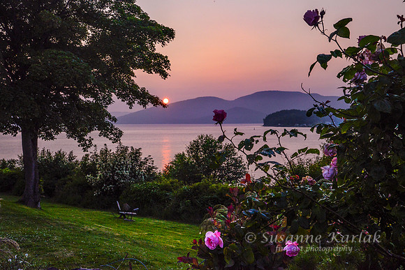 Painterly Anacortes Garden and Bay