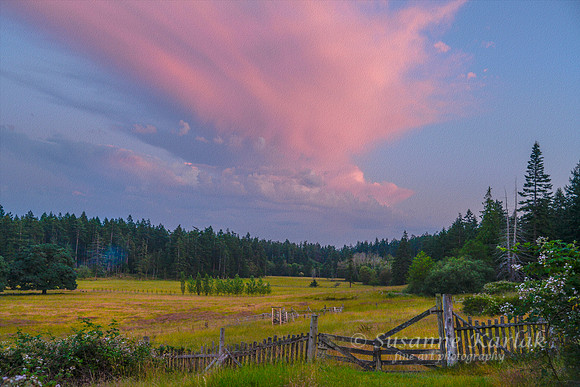 Painterly Orcas Island Dusk #5184