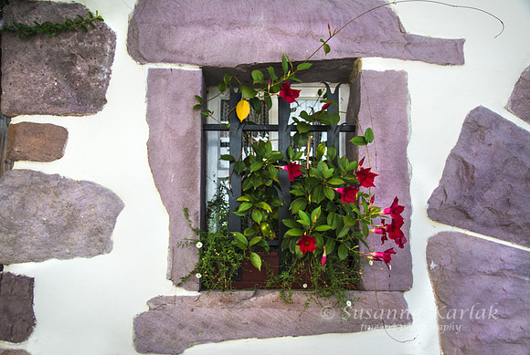 St. Jean de la Port; Window Wall