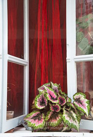 St. Jean de la Port; Window Wall