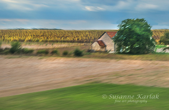 Painterly French Countryside 8