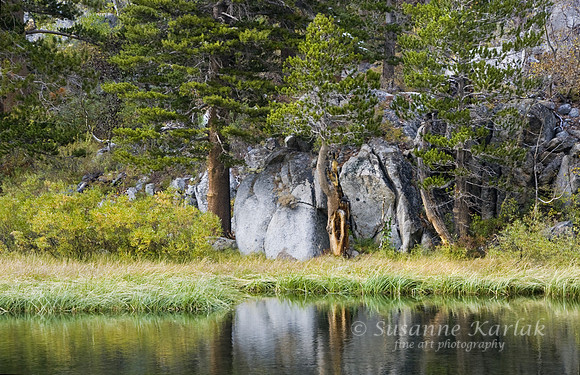 South Lake Reflection #619