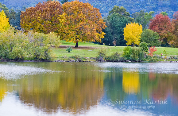 Colors of Vasona #085