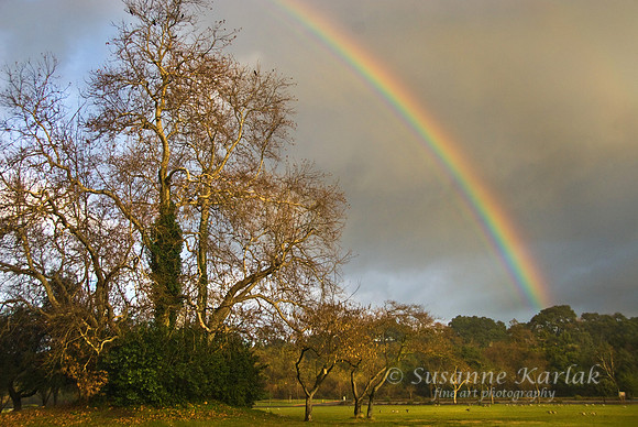 Vasona Rainbow #030