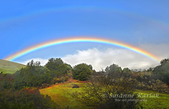 Somewhere Over the  Rainbow (#4991)