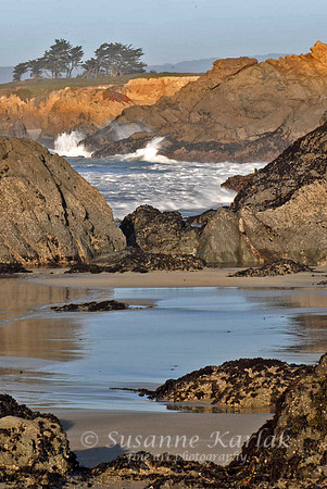 Mendocino Coast #190