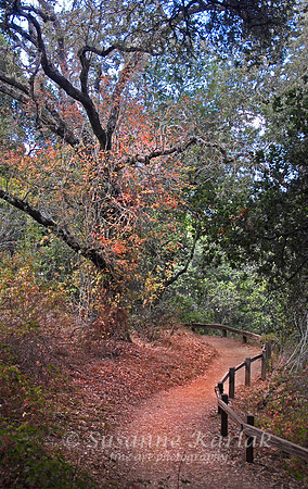 Rancho San Antonio Path #0133