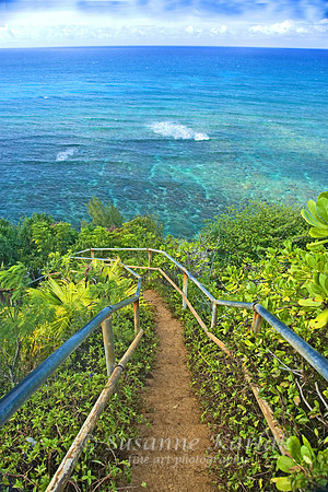 Princeville Stairs #115