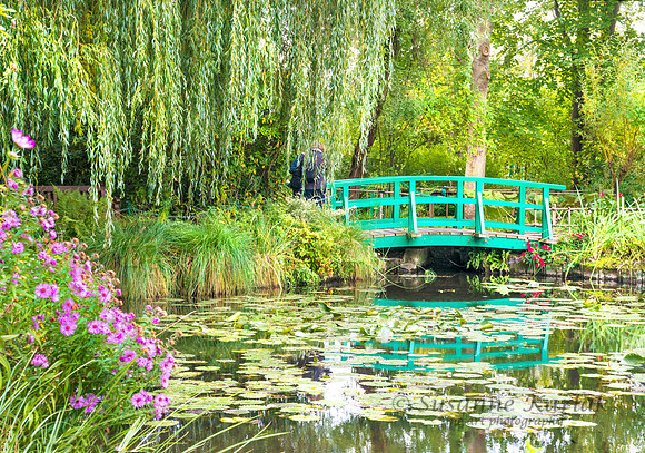 Monet's Delight #8092
