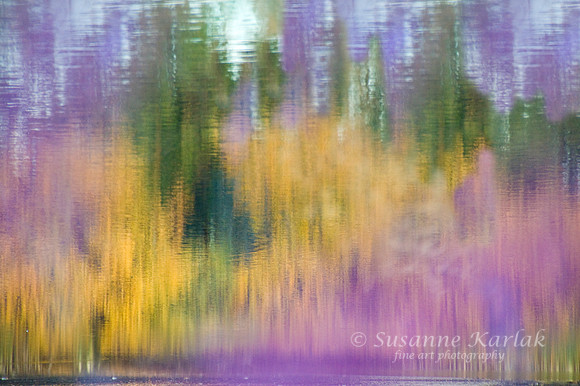 Painterly Reflection #207.3