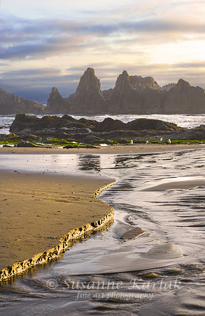 Seal Rock Sunset (#3846)
