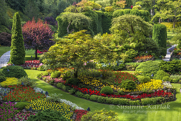 View of the Garden (#6402)