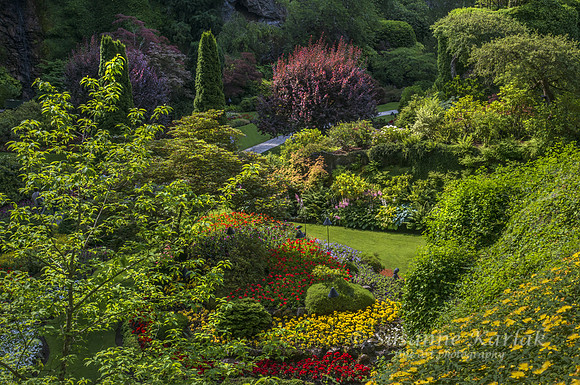 Garden View (#6409)