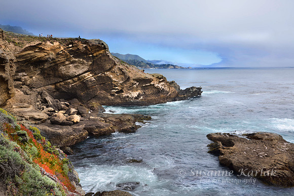 Pt. Lobos Coast #0988