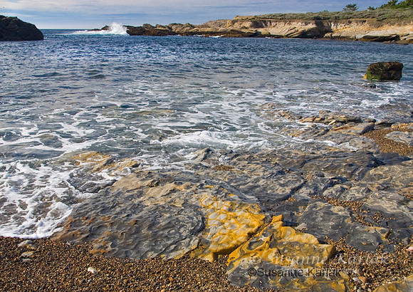 Pt. Lobos Shore #108