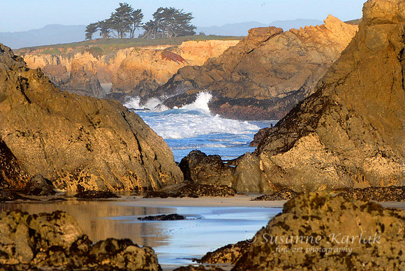 Mendocino Coast #0204