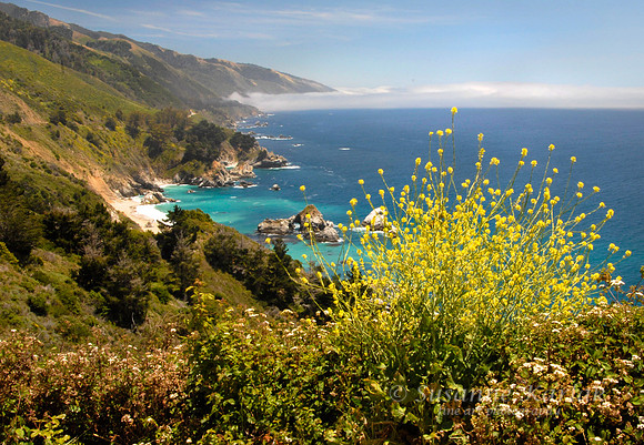 Big Sur View #306
