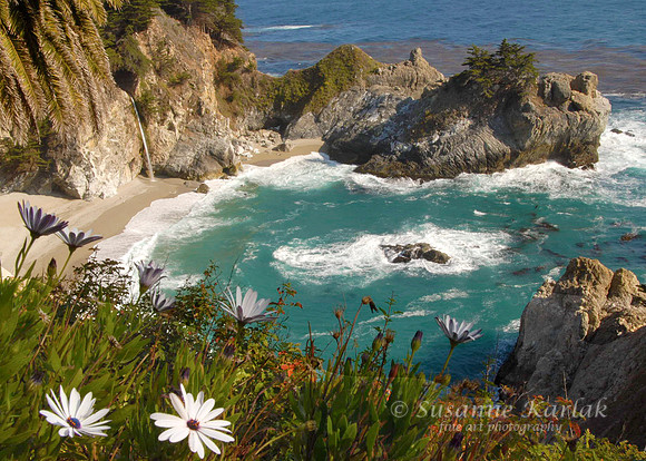 McWay Falls, Big Sur #099