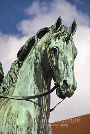 Heavenly Horse #267