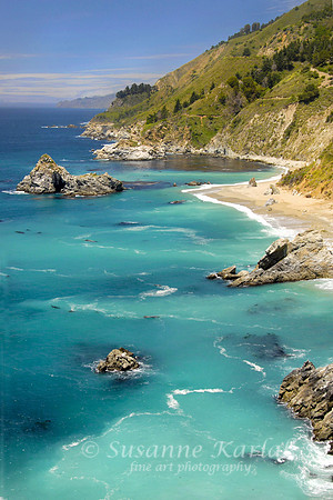 Julia Pfeiffer Burns State Park #265
