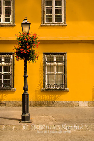 Lampost and Geraniums #076
