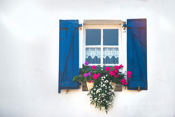 Lace Curtains and Geraniums #4626