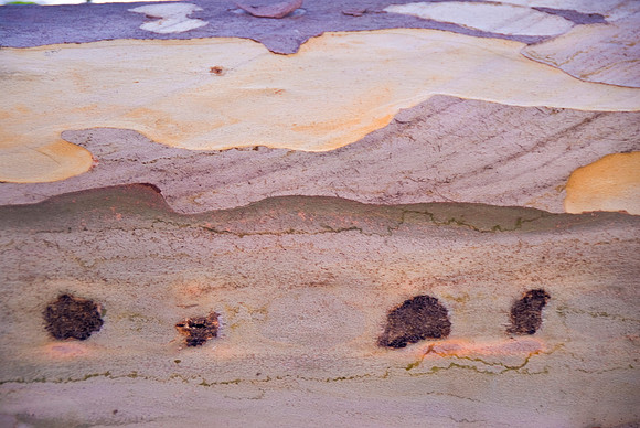 Euke Landscape #0070