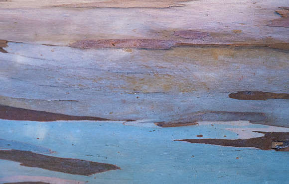 Euke Seascape #4684
