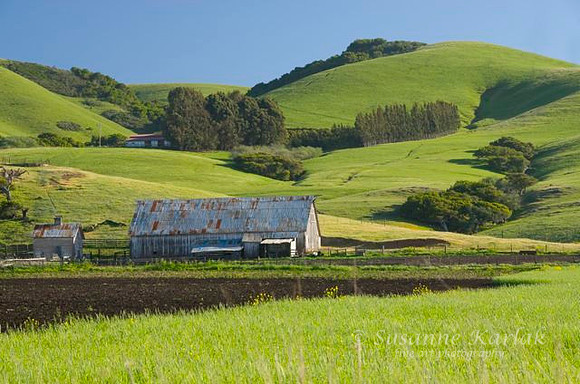 Green and White Barn #037_3