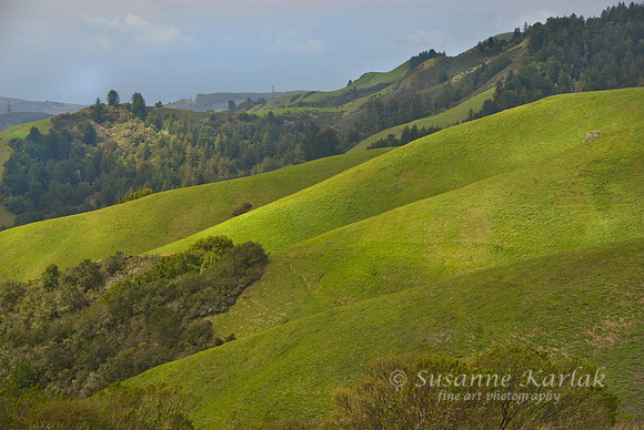 Rolling Hills #126