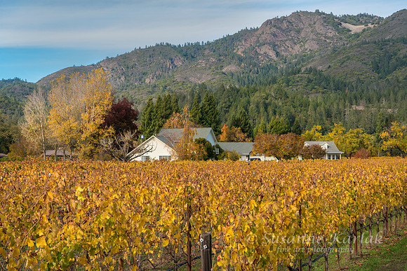 Sonoma Homestead #839
