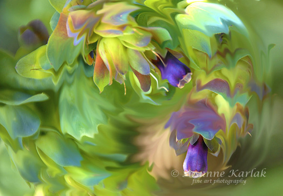 Painterly Dance of the Flowers #062