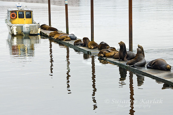 Queue for Boat Ride #520