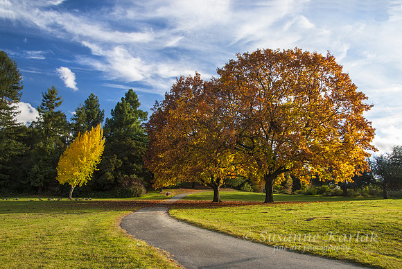 Path to Autumn Colors #148
