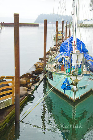 Relaxing in Port of Astoria #355