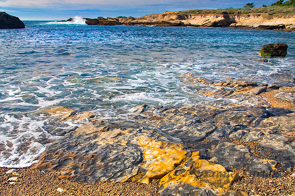 Pt. Lobos #0108