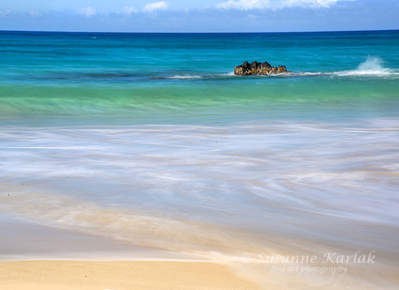 Painterly Hawaii #5352