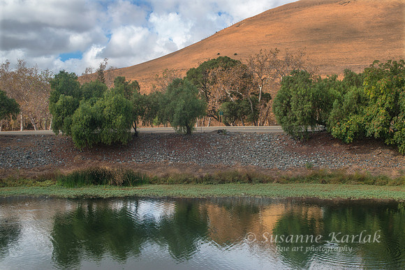 Reflection in Creek #1763