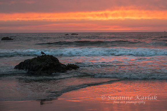 Ft. Bragg Sunset #6635
