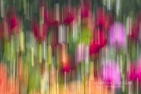 DSC_6484srgb