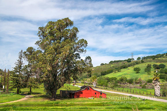 The Red Barn #2980