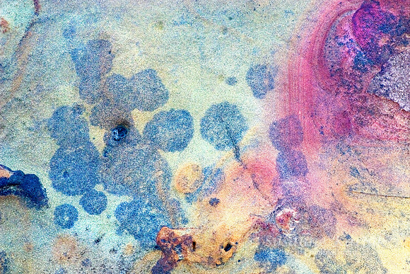Under the Sea, Carmel #0006.2