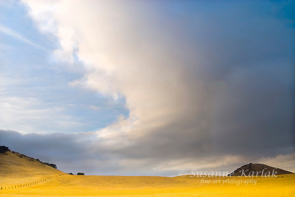#272 California Storm2